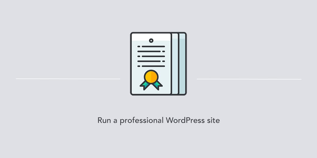 Banner of requirements to run a professional WordPress site