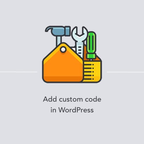 Add a custom code in WordPress