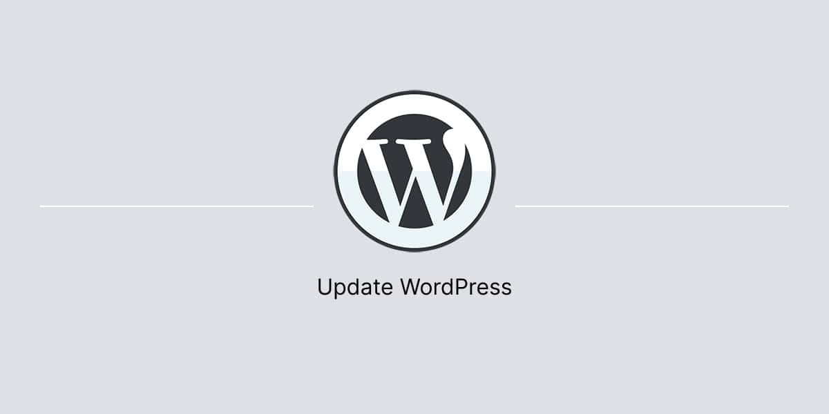Banner for article on how to update WordPress