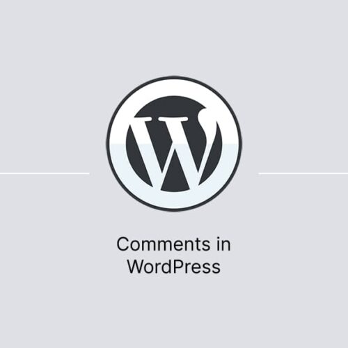 Comments in WordPress