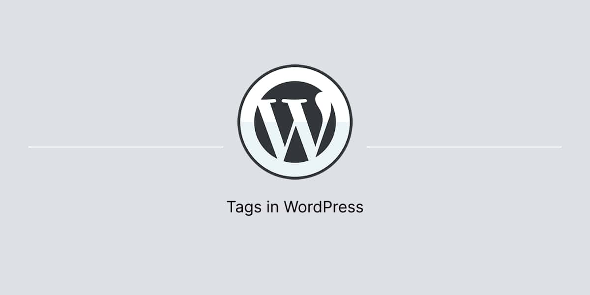 Banner for article about tags in WordPress